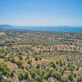  For Sale - (€ 0 / m2), Agricultural 4008 m2 Kranidi 8224887 thumb1