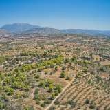  For Sale - (€ 0 / m2), Agricultural 4008 m2 Kranidi 8224887 thumb3