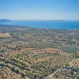  For Sale - (€ 0 / m2), Agricultural 4008 m2 Kranidi 8224887 thumb6