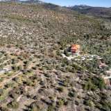 For Sale - (€ 0 / m2), Agricultural 5235 m2 Thasos 8124902 thumb6