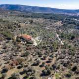  For Sale - (€ 0 / m2), Agricultural 5235 m2 Thasos 8124902 thumb5