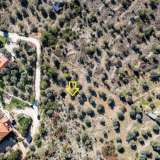  For Sale - (€ 0 / m2), Agricultural 5235 m2 Thasos 8124902 thumb4