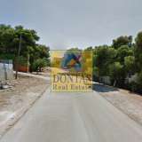  (For Sale) Land Plot || Athens North/Penteli - 1.280 Sq.m, 850.000€ Penteli 8025103 thumb0