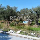  For Sale - (€ 0 / m2), Plot 465 m2 Agria 6225192 thumb5