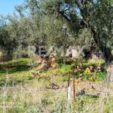  For Sale - (€ 0 / m2), Plot 465 m2 Agria 6225192 thumb6