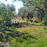  For Sale - (€ 0 / m2), Plot 465 m2 Agria 6225192 thumb2