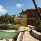  (For Sale) Residential Detached house || East Attica/Drosia - 717 Sq.m, 4 Bedrooms, 940.000€ Drosia 8025035 thumb1