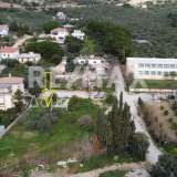  For Sale - (€ 0 / m2), Plot 516 m2 Agria 8125515 thumb5