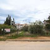  For Sale - (€ 0 / m2), Plot 516 m2 Agria 8125515 thumb1