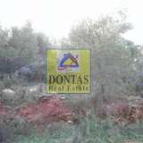  (For Sale) Land Plot || East Attica/Dionysos - 800 Sq.m, 320.000€ Dionysos 8025072 thumb2