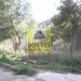  (For Sale) Land Plot || East Attica/Dionysos - 800 Sq.m, 320.000€ Dionysos 8025072 thumb1
