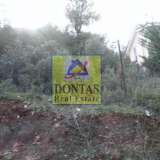  (For Sale) Land Plot || East Attica/Dionysos - 800 Sq.m, 320.000€ Dionysos 8025072 thumb0