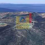  (For Sale) Land Agricultural Land  || Evoia/Tamynes - 25.000 Sq.m, 40.000€ Tamines 7925738 thumb1