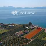  For Sale - (€ 0 / m2), Agricultural 5440 m2 Ermioni 8225903 thumb3