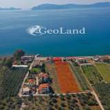  For Sale - (€ 0 / m2), Agricultural 5440 m2 Ermioni 8225903 thumb1