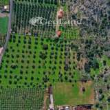  For Sale - (€ 0 / m2), Agricultural 24018 m2 Ermioni 8225906 thumb1