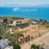  For Sale - (€ 0 / m2), Agricultural 5200 m2 Ermioni 8225908 thumb9