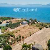  For Sale - (€ 0 / m2), Agricultural 5200 m2 Ermioni 8225908 thumb0