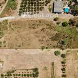 For Sale - (€ 0 / m2), Agricultural 5200 m2 Ermioni 8225908 thumb1