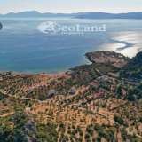  For Sale - (€ 0 / m2), Agricultural 15030 m2 Ermioni 8225909 thumb3