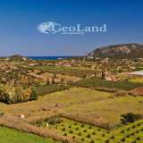 For Sale - (€ 0 / m2), Agricultural 8565 m2 Ermioni 8225912 thumb7
