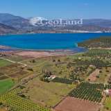  For Sale - (€ 0 / m2), Agricultural 8565 m2 Ermioni 8225912 thumb6