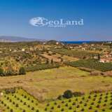  For Sale - (€ 0 / m2), Agricultural 8565 m2 Ermioni 8225912 thumb8