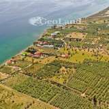  For Sale - (€ 0 / m2), Agricultural 5500 m2 Ermioni 8225913 thumb4