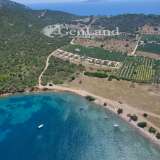  For Sale - (€ 0 / m2), Agricultural 6200 m2 Ermioni 8225921 thumb7