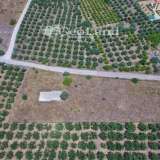  For Sale - (€ 0 / m2), Agricultural 4361 m2 Ermioni 8225924 thumb9