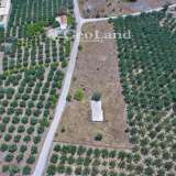  For Sale - (€ 0 / m2), Agricultural 4361 m2 Ermioni 8225924 thumb8