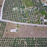  For Sale - (€ 0 / m2), Agricultural 4361 m2 Ermioni 8225924 thumb2