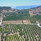  For Sale - (€ 0 / m2), Agricultural 4361 m2 Ermioni 8225924 thumb4