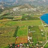  For Sale - (€ 0 / m2), Agricultural 8321 m2 Ermioni 8225934 thumb8