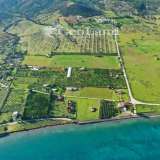 For Sale - (€ 0 / m2), Agricultural 8321 m2 Ermioni 8225934 thumb3