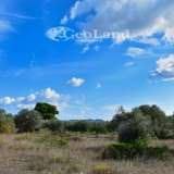  For Sale - (€ 0 / m2), Agricultural 368 m2 Ermioni 8225937 thumb7