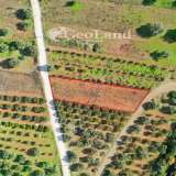  For Sale - (€ 0 / m2), Agricultural 925 m2 Ermioni 8225939 thumb1