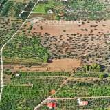  For Sale - (€ 0 / m2), Agricultural 25542 m2 Ermioni 8225944 thumb4