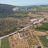  For Sale - (€ 0 / m2), Agricultural 1237 m2 Ermioni 8225946 thumb2