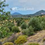  For Sale - (€ 0 / m2), Agricultural 4000 m2 Ermioni 8225948 thumb8