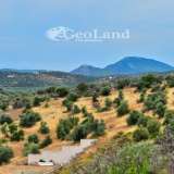  For Sale - (€ 0 / m2), Agricultural 4000 m2 Ermioni 8225948 thumb0