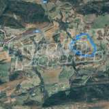  Agricultural land 12 km from the town of Lovech Sokolovo village 8025971 thumb4