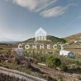  For Sale - (€ 0 / m2), Agricultural 11156 m2 Paros 8126238 thumb5
