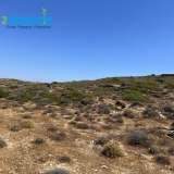  FOR SALE an investment plot of 8,089 sq.m. in Ios, Manganari, sloping with amphitheatrical sea views, ideal for tourist exploitation, outside the plan and outside the settlement, in a very short distance from the sea and close to popular beaches.INFOR Ios 8126437 thumb1