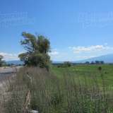  Large plot of land on the Ring road in Chelopechene district Sofia city 3526491 thumb5