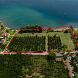  For Sale - (€ 0 / m2), Agricultural 15000 m2 Epidavros 7926683 thumb4
