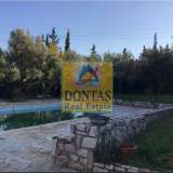  (For Sale) Residential Detached house || East Attica/Paiania - 500 Sq.m, 6 Bedrooms, 2.270.000€ Athens 7626890 thumb9
