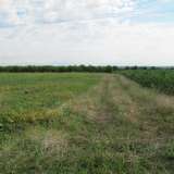  Agricultural land 4 km from Plovdiv Brestnik village 3527383 thumb5