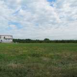  Agricultural land 4 km from Plovdiv Brestnik village 3527383 thumb1