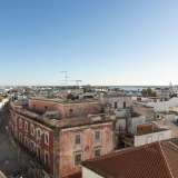   Faro (East Algarve) 8027429 thumb26